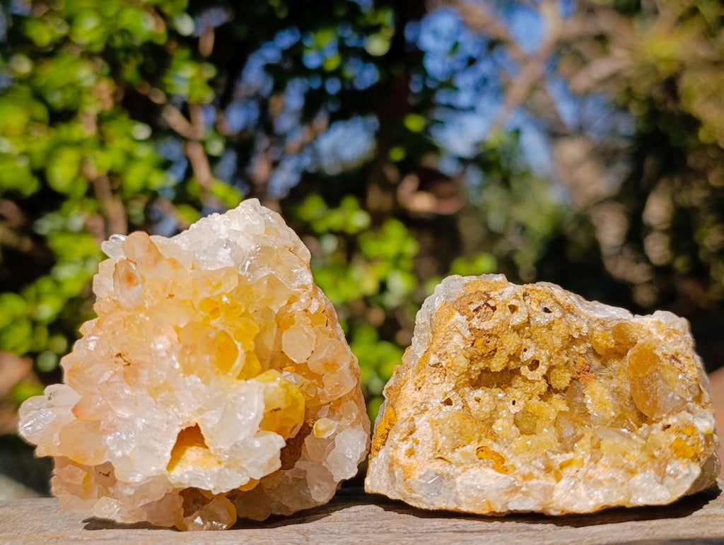 Natural Golden Limonite Quartz Crystal Clusters x 12 From Solwezi, Zambia - Toprock Gemstones and Minerals 