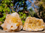 Natural Golden Limonite Quartz Crystal Clusters x 12 From Solwezi, Zambia - Toprock Gemstones and Minerals 