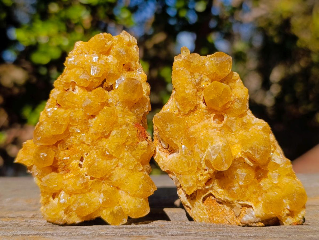 Natural Golden Limonite Quartz Crystal Clusters x 12 From Solwezi, Zambia - Toprock Gemstones and Minerals 