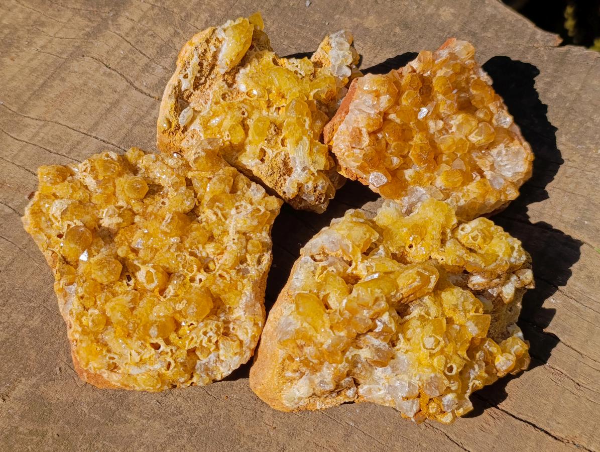 Natural Golden Limonite Quartz Crystal Clusters x 12 From Solwezi, Zambia - Toprock Gemstones and Minerals 