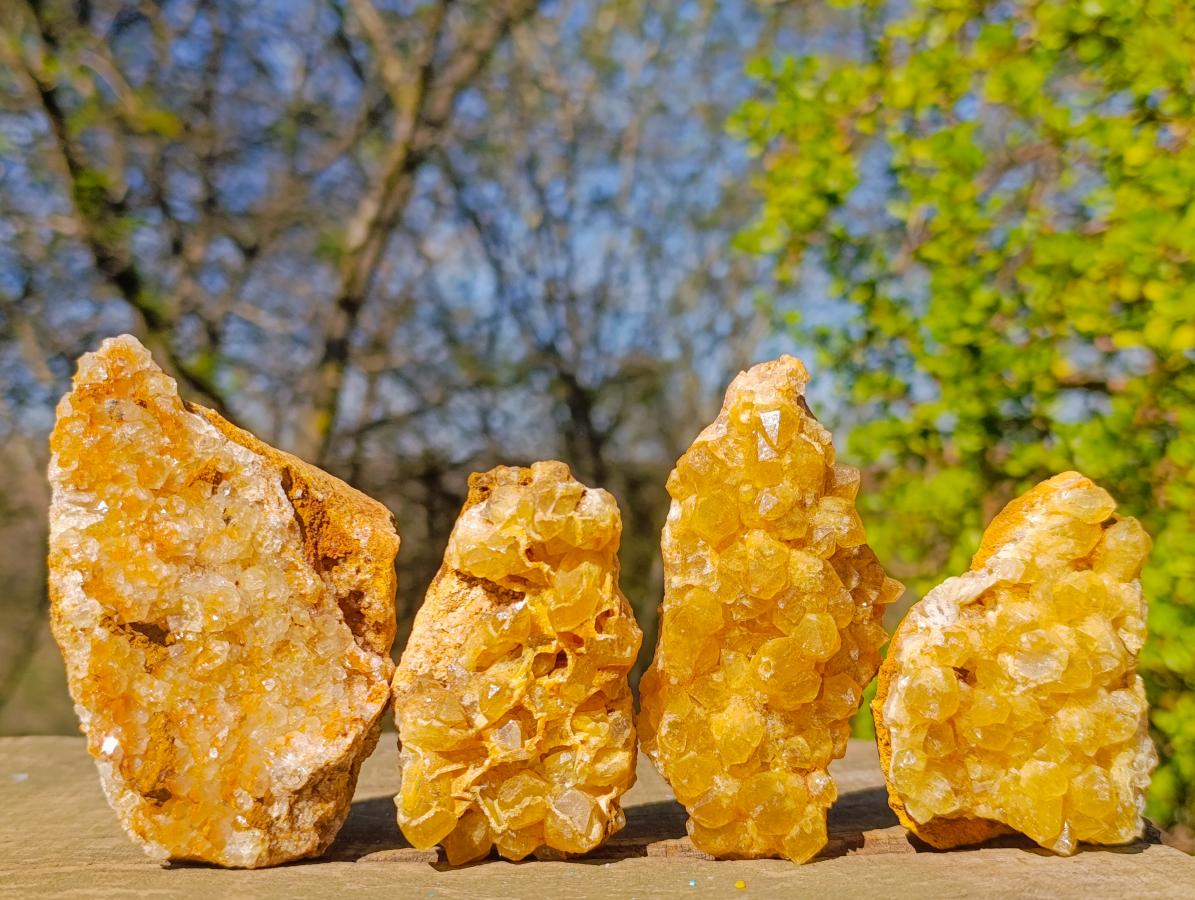 Natural Golden Limonite Quartz Crystal Clusters x 12 From Solwezi, Zambia - Toprock Gemstones and Minerals 