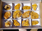 Natural Golden Limonite Quartz Crystal Clusters x 12 From Solwezi, Zambia - Toprock Gemstones and Minerals 
