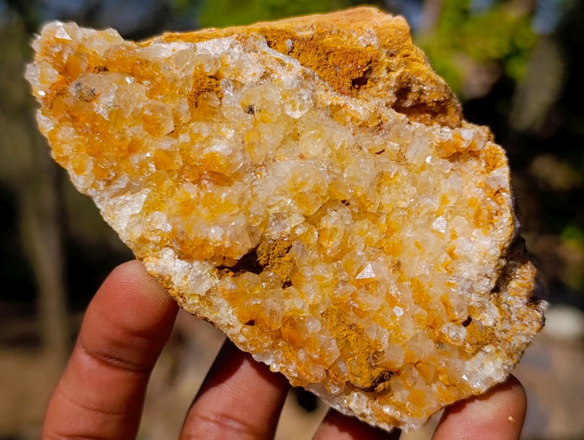 Natural Golden Limonite Quartz Crystal Clusters x 12 From Solwezi, Zambia - Toprock Gemstones and Minerals 