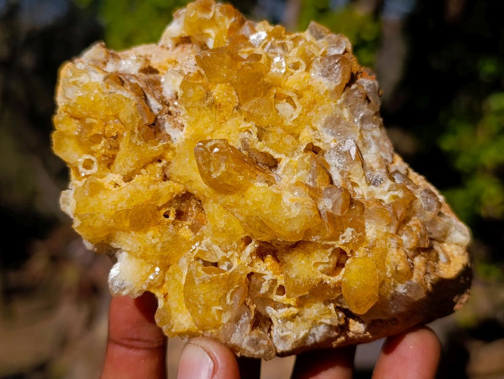 Natural Golden Limonite Quartz Crystal Clusters x 12 From Solwezi, Zambia - Toprock Gemstones and Minerals 