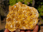 Natural Golden Limonite Quartz Crystal Clusters x 12 From Solwezi, Zambia - Toprock Gemstones and Minerals 