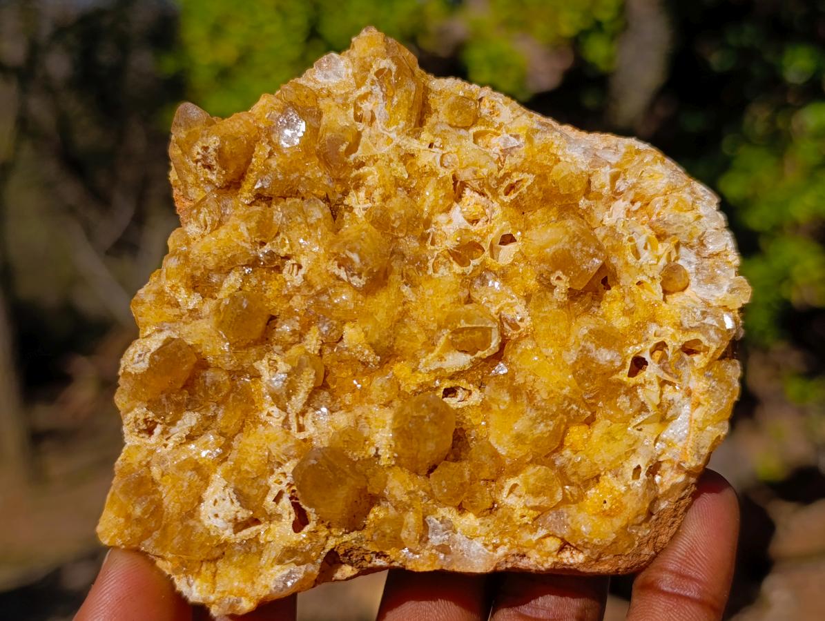 Natural Golden Limonite Quartz Crystal Clusters x 12 From Solwezi, Zambia - Toprock Gemstones and Minerals 
