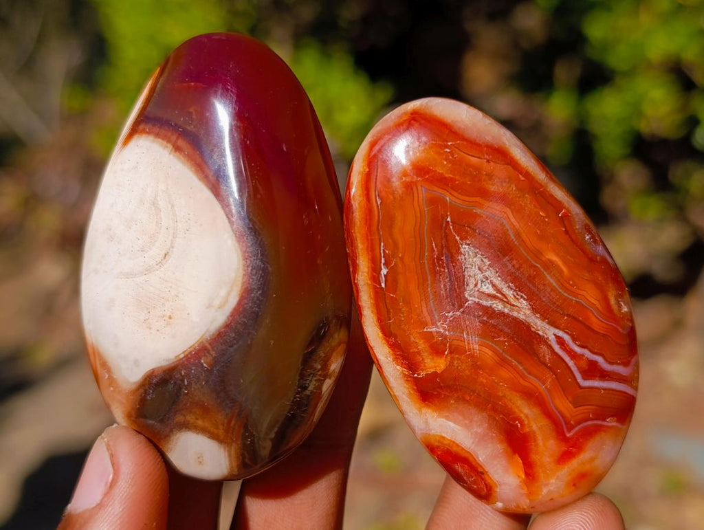 Polished and Natural Carnelian Agate Gemstone Galets x 24 From Madagascar - Toprock Gemstones and Minerals 