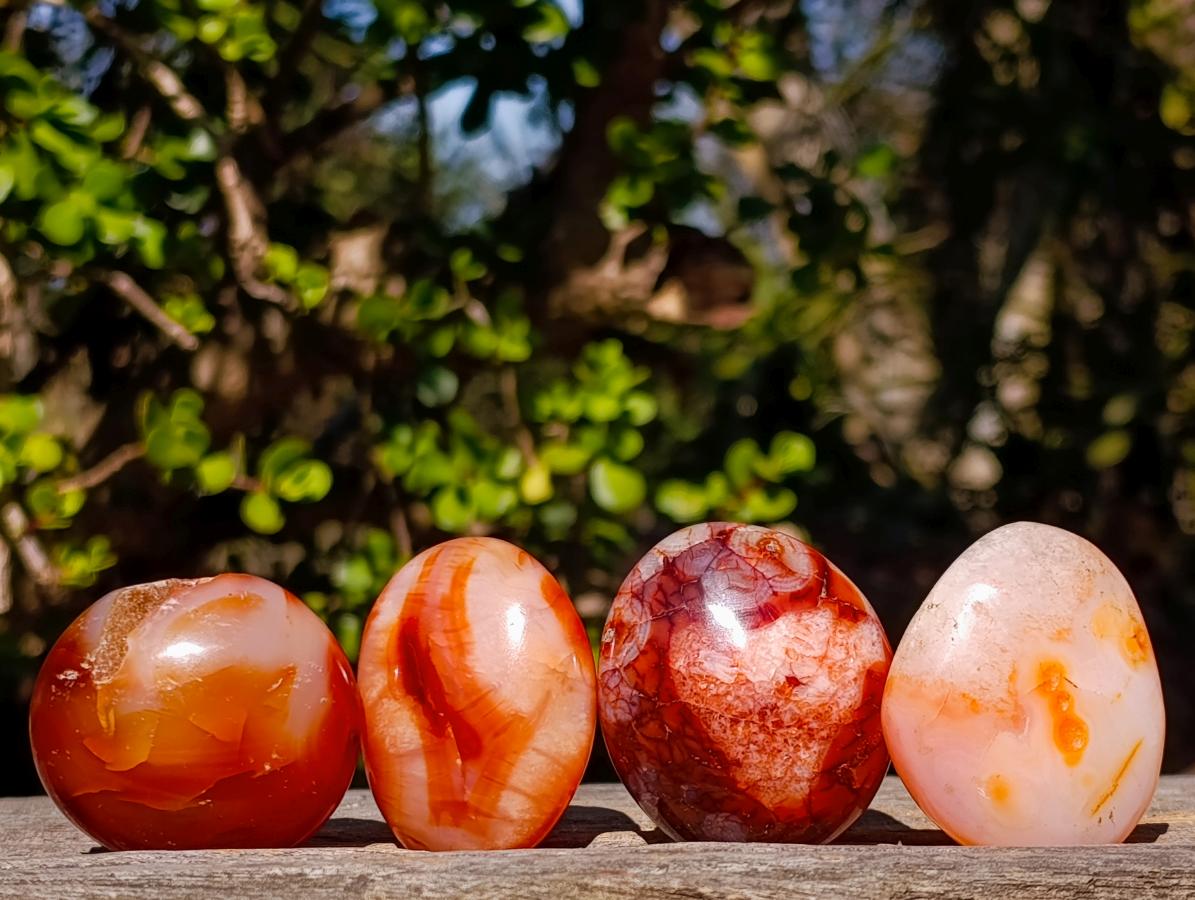 Polished and Natural Carnelian Agate Gemstone Galets x 24 From Madagascar - Toprock Gemstones and Minerals 
