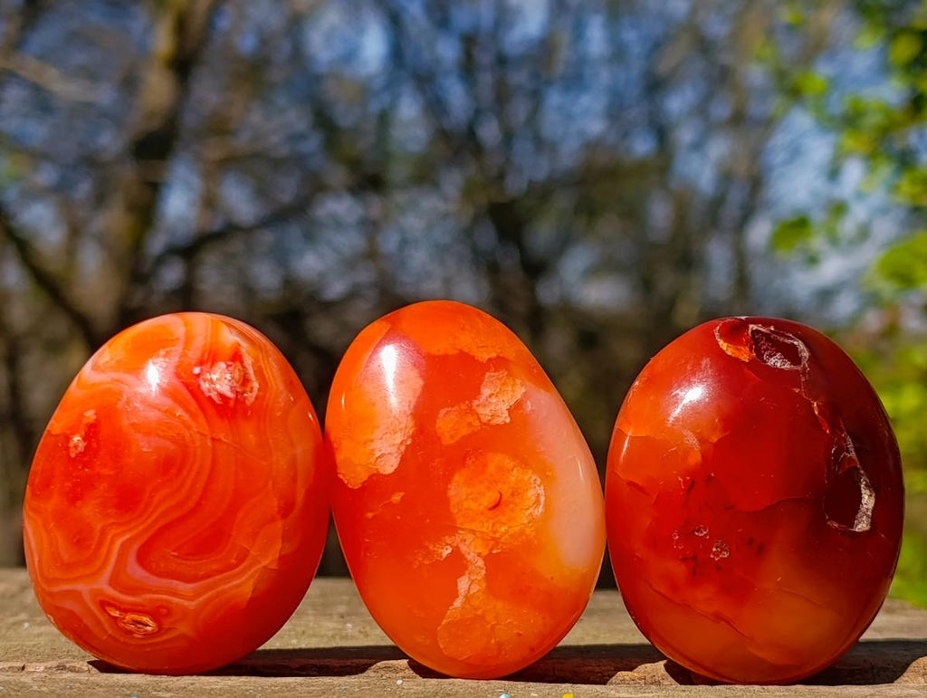 Polished and Natural Carnelian Agate Gemstone Galets x 24 From Madagascar - Toprock Gemstones and Minerals 