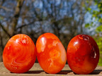 Polished and Natural Carnelian Agate Gemstone Galets x 24 From Madagascar - Toprock Gemstones and Minerals 