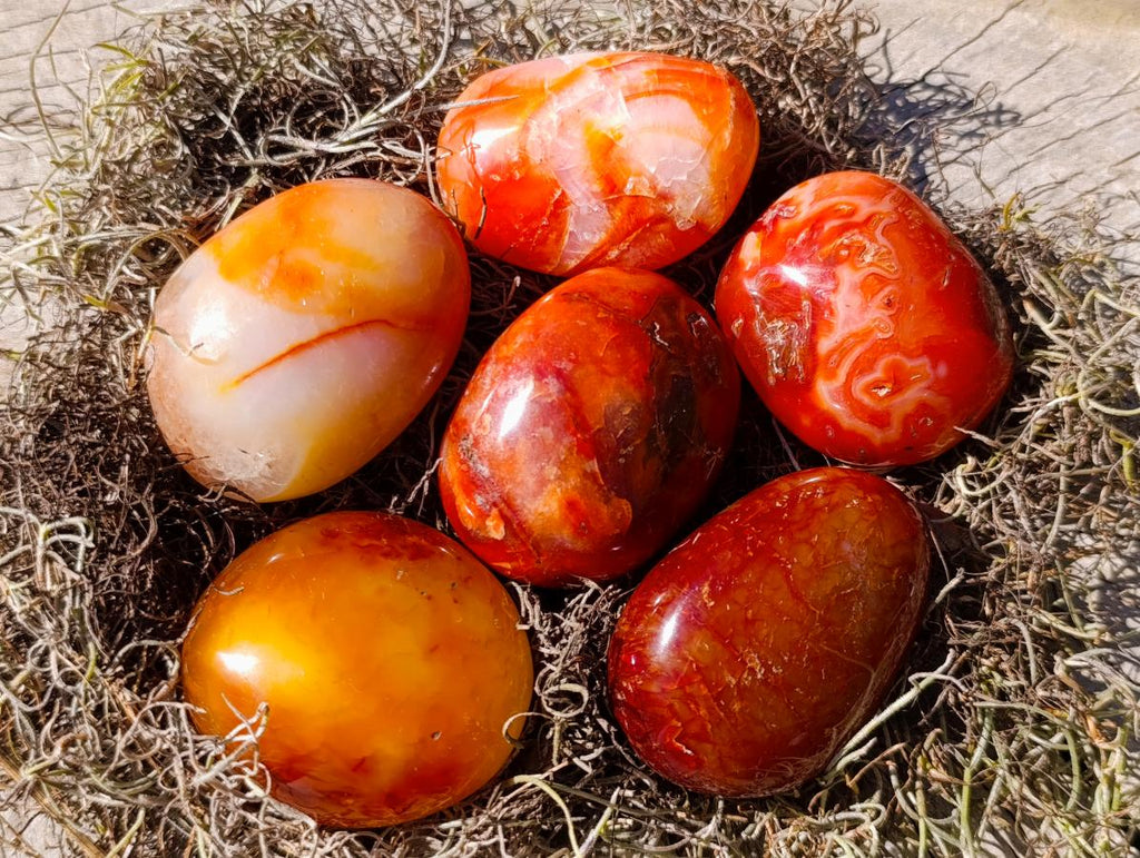 Polished and Natural Carnelian Agate Gemstone Galets x 24 From Madagascar - Toprock Gemstones and Minerals 