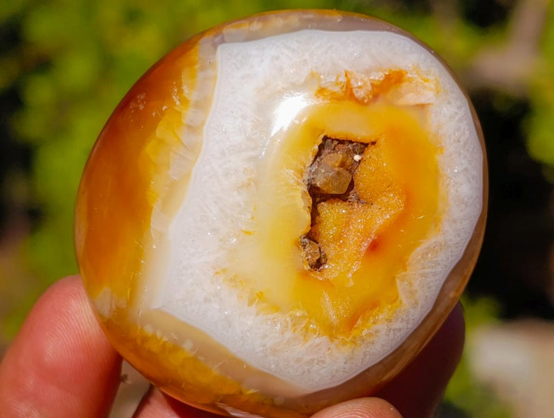 Polished and Natural Carnelian Agate Gemstone Galets x 24 From Madagascar - Toprock Gemstones and Minerals 