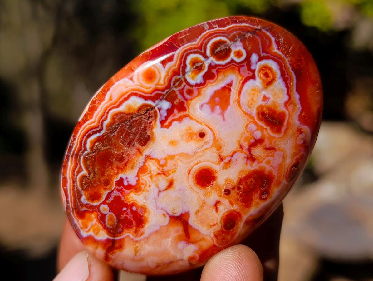 Polished and Natural Carnelian Agate Gemstone Galets x 24 From Madagascar - Toprock Gemstones and Minerals 