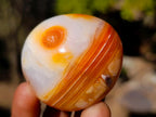 Polished and Natural Carnelian Agate Gemstone Galets x 24 From Madagascar - Toprock Gemstones and Minerals 