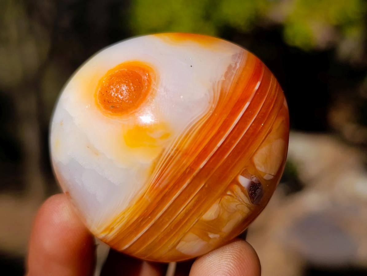 Polished and Natural Carnelian Agate Gemstone Galets x 24 From Madagascar - Toprock Gemstones and Minerals 