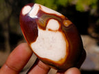 Polished and Natural Carnelian Agate Gemstone Galets x 24 From Madagascar - Toprock Gemstones and Minerals 