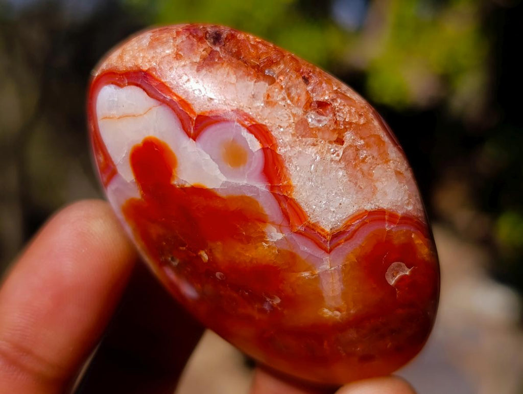 Polished and Natural Carnelian Agate Gemstone Galets x 24 From Madagascar - Toprock Gemstones and Minerals 