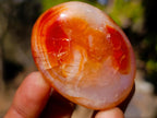 Polished and Natural Carnelian Agate Gemstone Galets x 24 From Madagascar - Toprock Gemstones and Minerals 