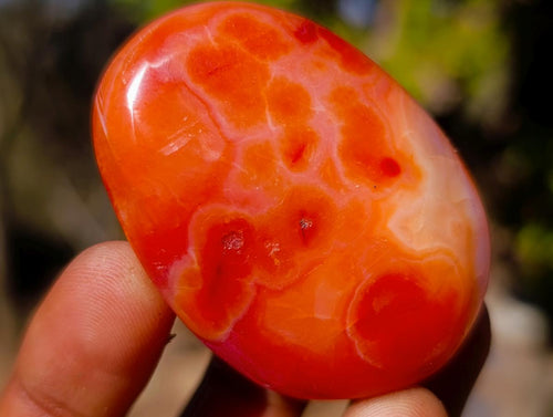 Polished and Natural Carnelian Agate Gemstone Galets x 24 From Madagascar - Toprock Gemstones and Minerals 