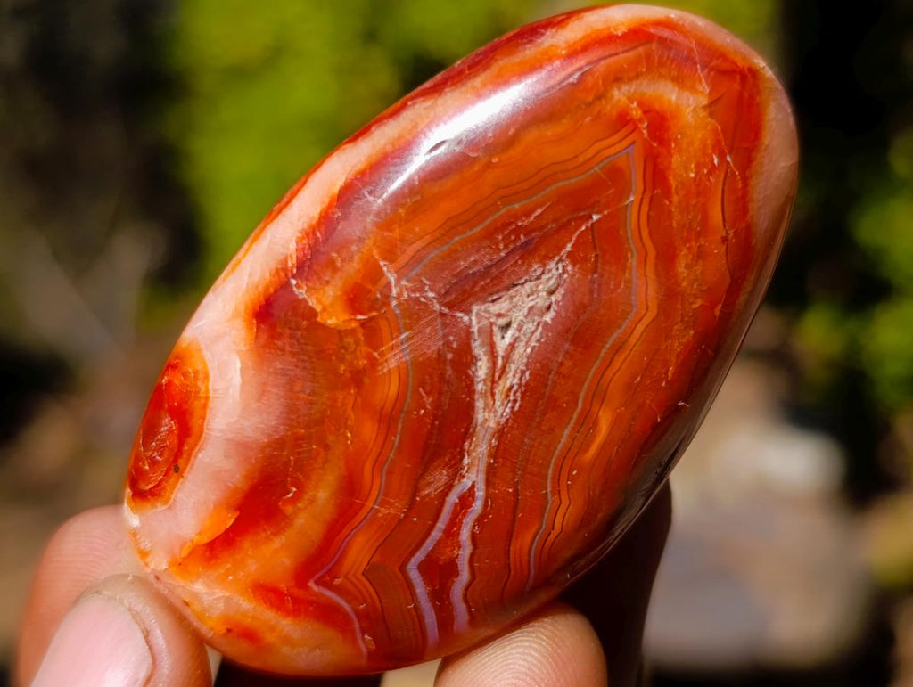 Polished and Natural Carnelian Agate Gemstone Galets x 24 From Madagascar - Toprock Gemstones and Minerals 