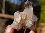 Natural Malagasy Quartz Crystals and Clusters x 35 From Madagascar - Toprock Gemstones and Minerals 
