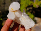 Natural Malagasy Quartz Crystals and Clusters x 35 From Madagascar - Toprock Gemstones and Minerals 