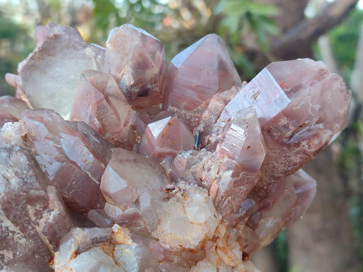 Natural Large Red Hematoid Quartz Crystal Cluster x 1 From Karoi, Zimbabwe