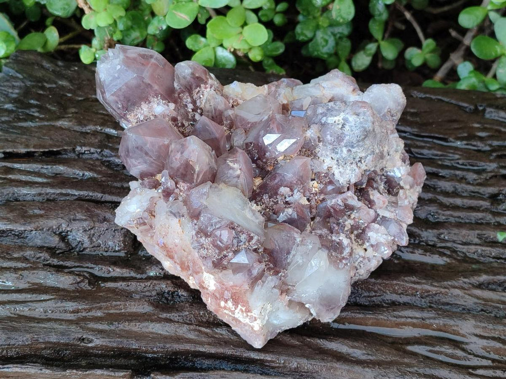 Natural Large Red Hematoid Quartz Crystal Cluster x 1 From Karoi, Zimbabwe