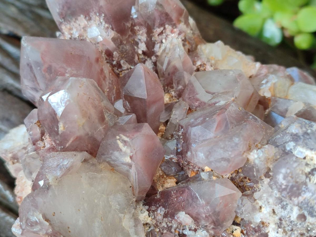 Natural Large Red Hematoid Quartz Crystal Cluster x 1 From Karoi, Zimbabwe