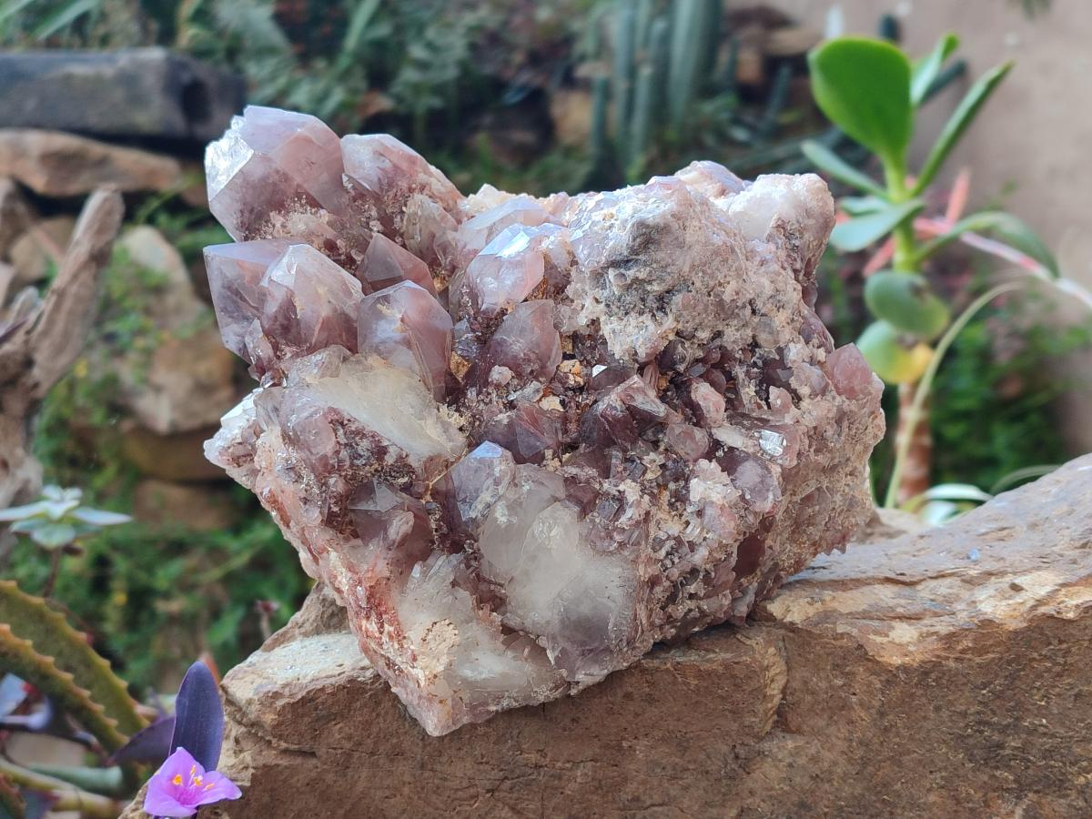 Natural Large Red Hematoid Quartz Crystal Cluster x 1 From Karoi, Zimbabwe