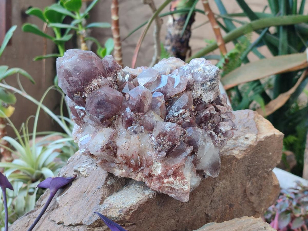 Natural Large Red Hematoid Quartz Crystal Cluster x 1 From Karoi, Zimbabwe