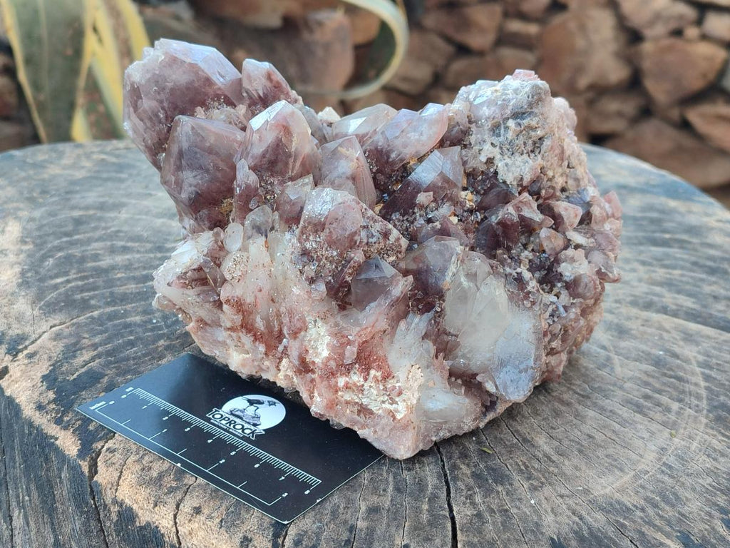 Natural Large Red Hematoid Quartz Crystal Cluster x 1 From Karoi, Zimbabwe