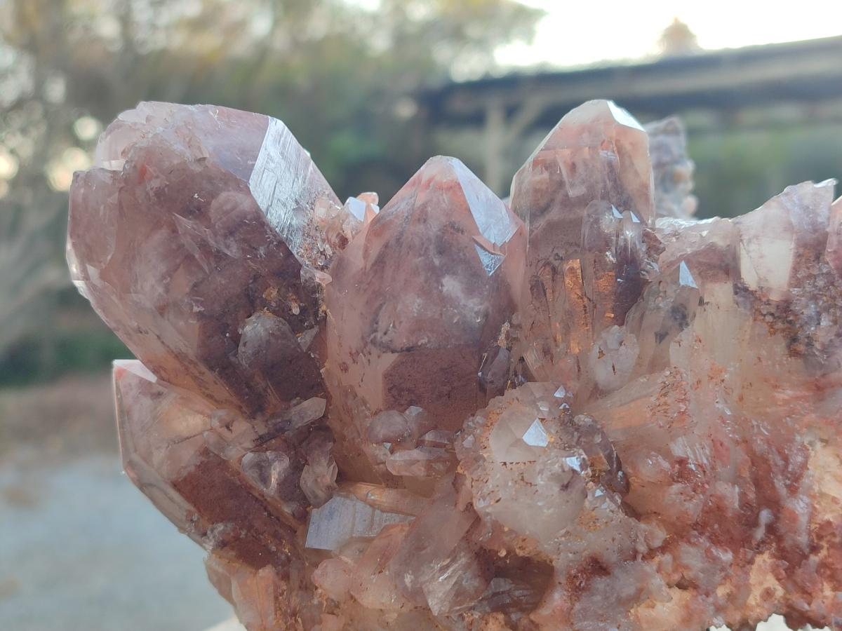 Natural Large Red Hematoid Quartz Crystal Cluster x 1 From Karoi, Zimbabwe