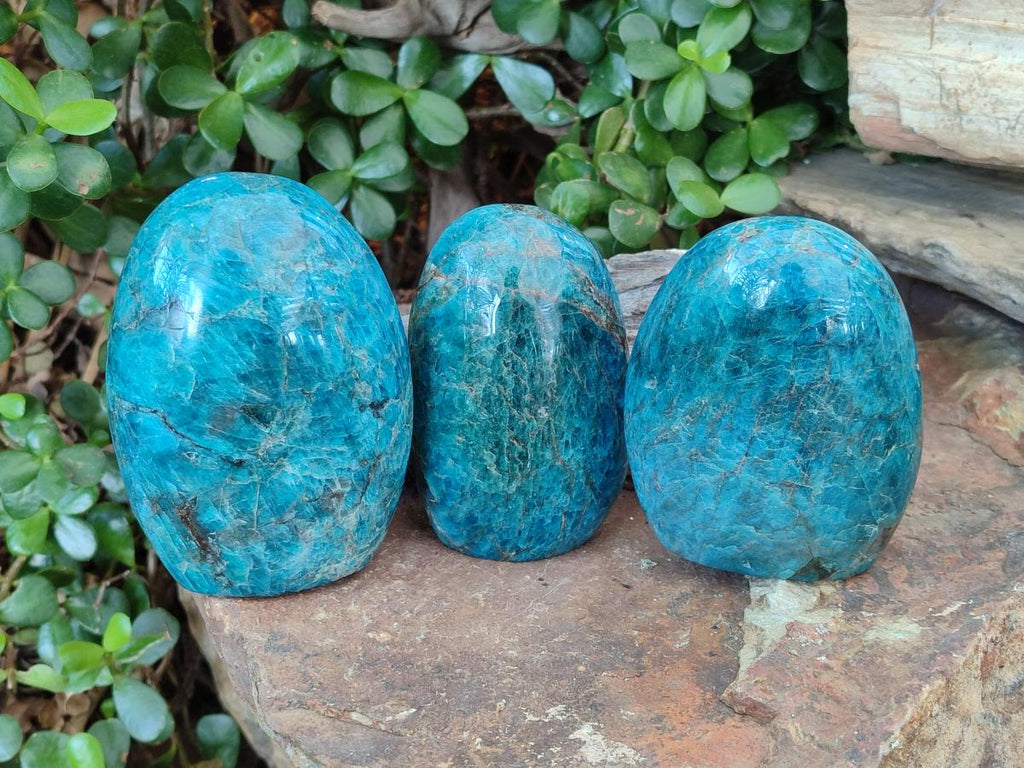 Polished Blue Apatite Standing Display Pieces x 3 From Betroka, Madagascar
