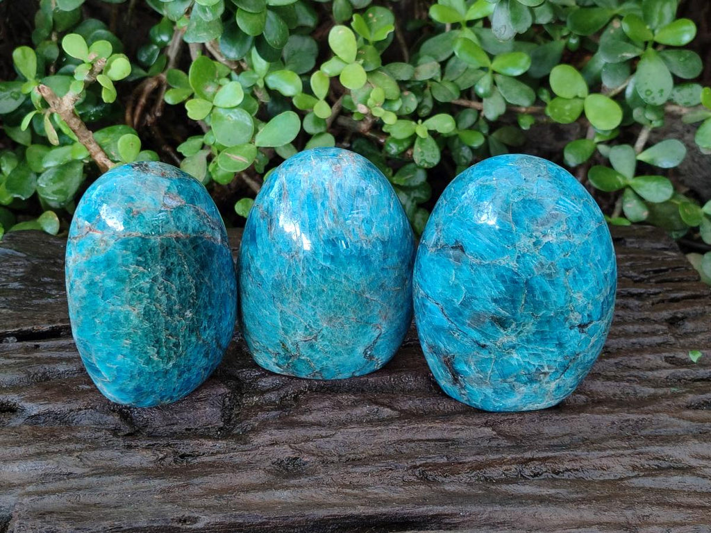 Polished Blue Apatite Standing Display Pieces x 3 From Betroka, Madagascar