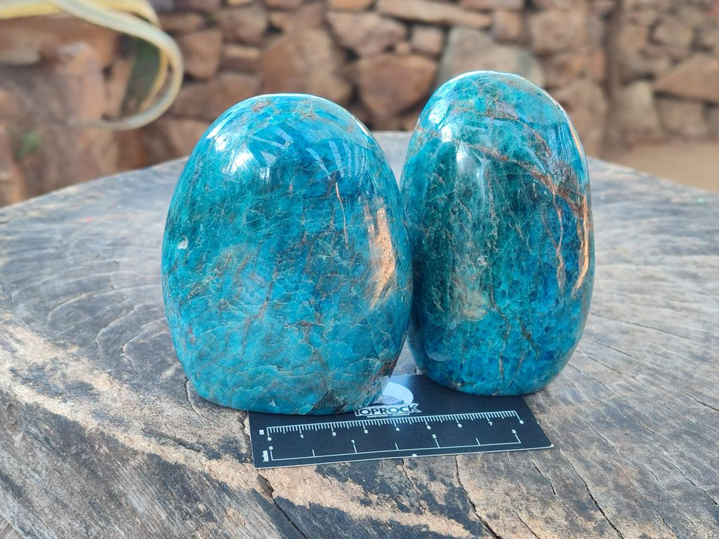 Polished Blue Apatite Standing Display Pieces x 3 From Betroka, Madagascar