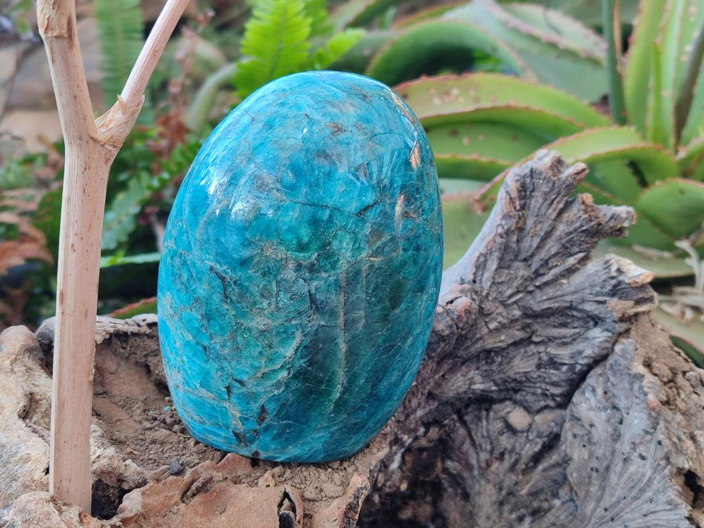 Polished Blue Apatite Standing Display Pieces x 3 From Betroka, Madagascar