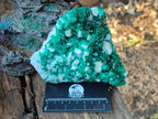 Natural Large Dioptase on Dolomite Specimen x 1 From Likasi, Congo