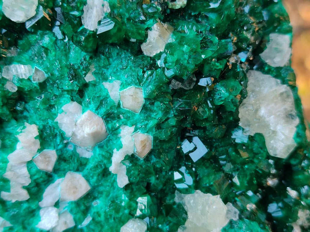 Natural Large Dioptase on Dolomite Specimen x 1 From Likasi, Congo