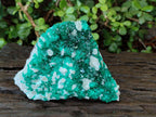 Natural Large Dioptase on Dolomite Specimen x 1 From Likasi, Congo