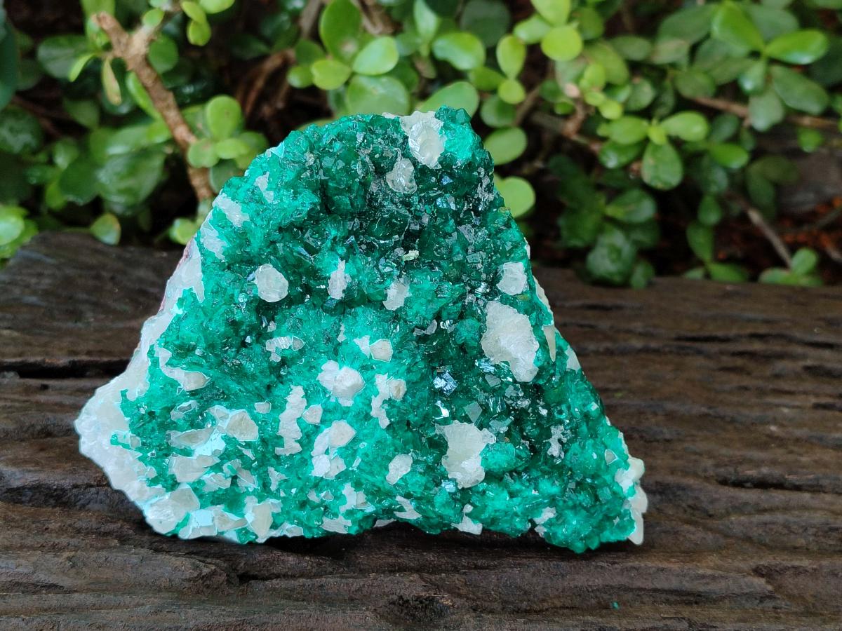 Natural Large Dioptase on Dolomite Specimen x 1 From Likasi, Congo