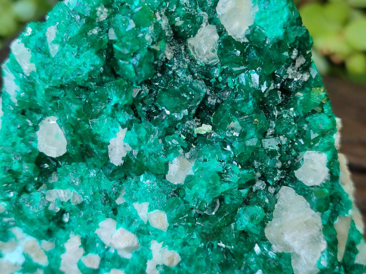 Natural Large Dioptase on Dolomite Specimen x 1 From Likasi, Congo