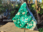 Natural Large Dioptase on Dolomite Specimen x 1 From Likasi, Congo