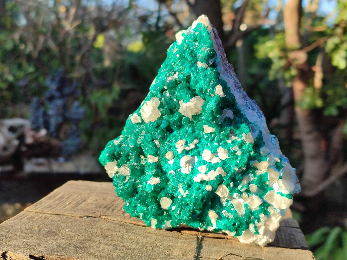 Natural Large Dioptase on Dolomite Specimen x 1 From Likasi, Congo
