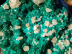 Natural Large Dioptase on Dolomite Specimen x 1 From Likasi, Congo