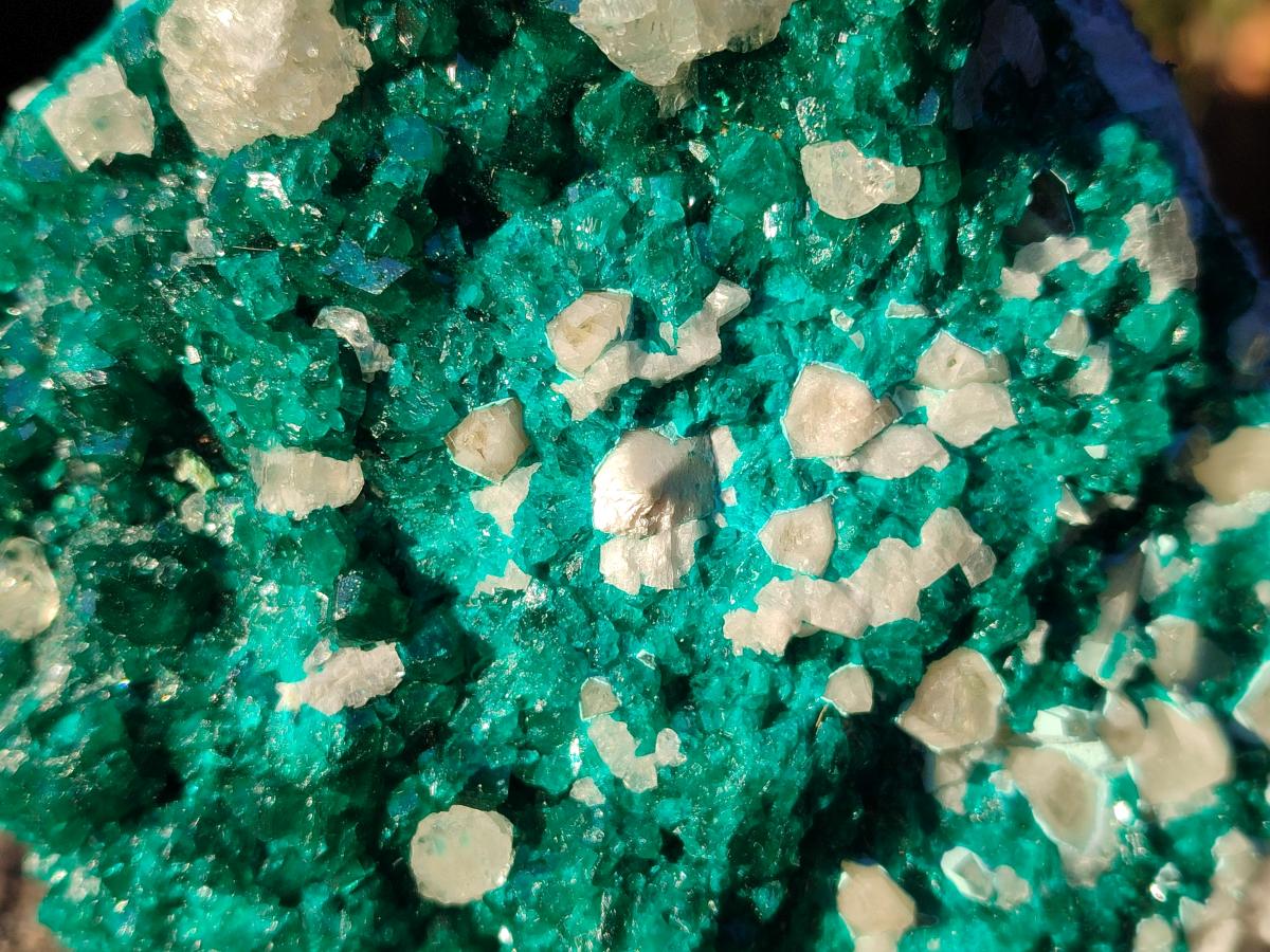 Natural Large Dioptase on Dolomite Specimen x 1 From Likasi, Congo