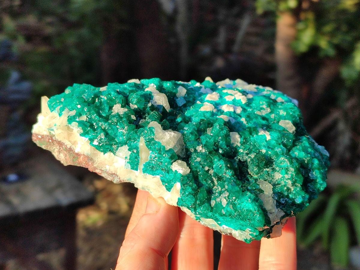 Natural Large Dioptase on Dolomite Specimen x 1 From Likasi, Congo