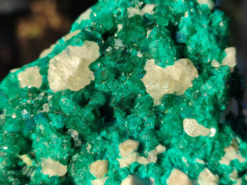 Natural Large Dioptase on Dolomite Specimen x 1 From Likasi, Congo