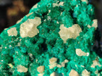 Natural Large Dioptase on Dolomite Specimen x 1 From Likasi, Congo