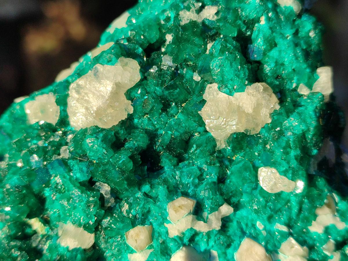 Natural Large Dioptase on Dolomite Specimen x 1 From Likasi, Congo
